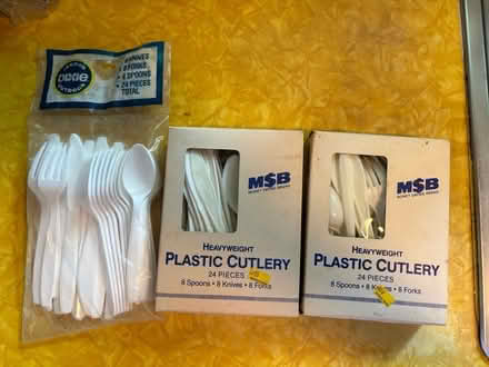 Photo of free Paper/plastic tableware (Croton-on-Hudson) #1