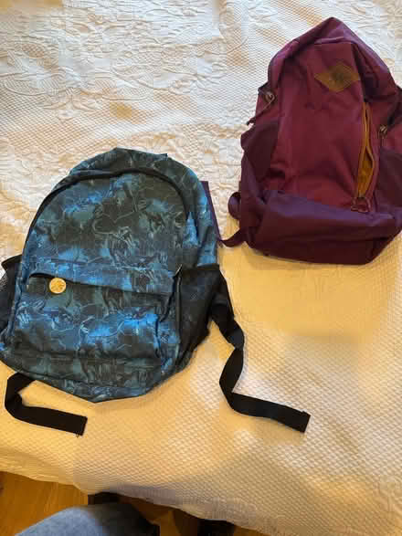 Photo of free Backpacks for primary school (Hampstead, mw3) #1