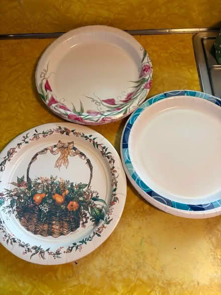 Photo of free Paper/plastic tableware (Croton-on-Hudson) #4