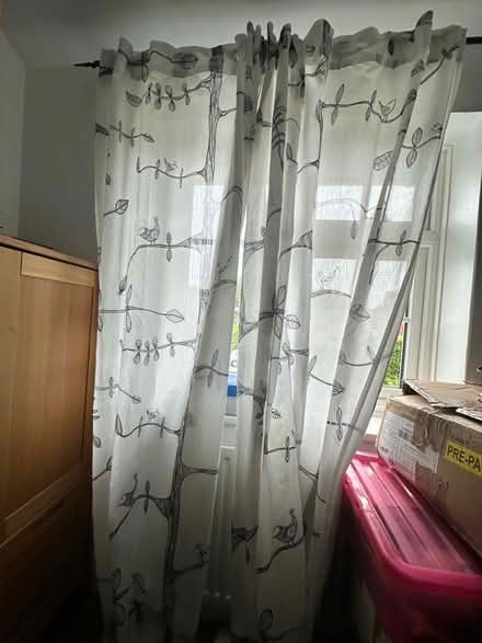 Photo of free Full length sheer curtains and curtain pole (Cosby LE9) #2