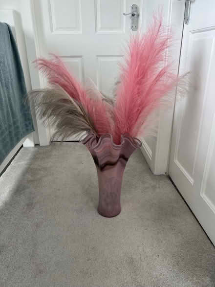 Photo of free Pink vase & feathers (Stalybridge SK15) #2
