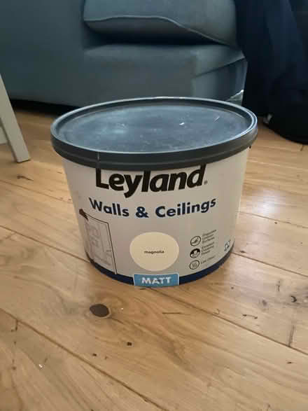 Photo of free 10L magnolia paint (Bear Flat BA2) #1