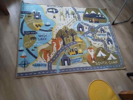 Photo of free Rug (enfield) #1