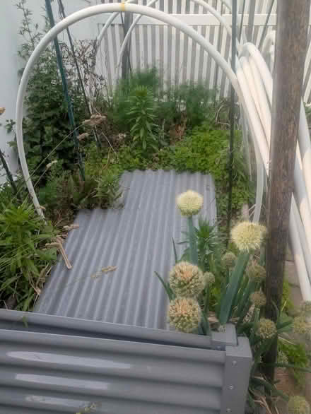 Photo of free 3 Wood Raised garden bed frames (Pawtucketville / Lowell) #1