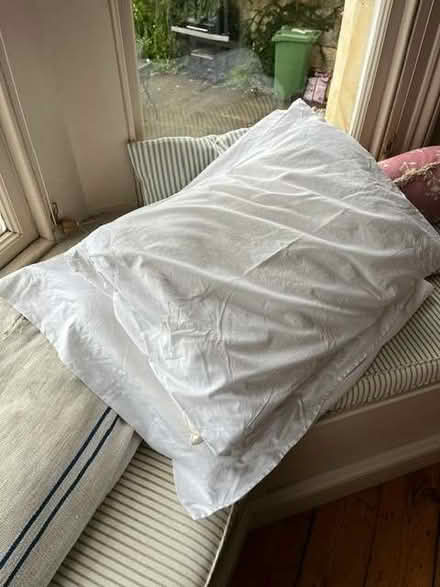 Photo of free 3 pillows (Lansdown BA1) #1