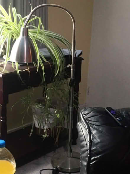 Photo of free Tall floor Lamp Silver (Liverpool L6 kensington) #4