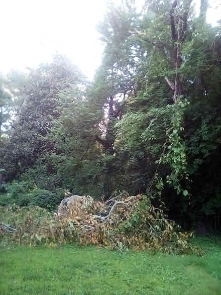 Photo of is needed for elder (Atlanta) #1