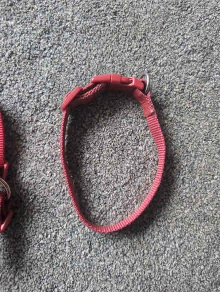 Photo of free Dog harness and collar (Old Coulsdon CR5) #1