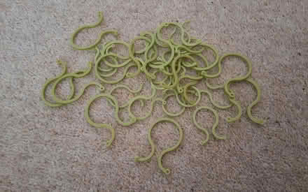 Photo of free Garden clips plant support (South Acton) #1