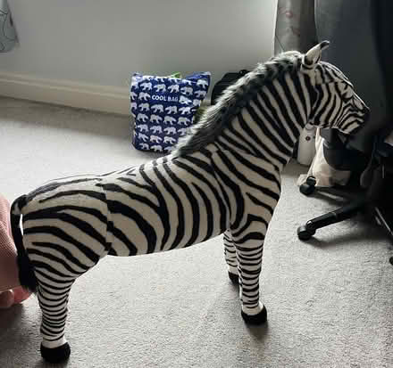 Photo of free Zebra (Ainsdale PR8) #1