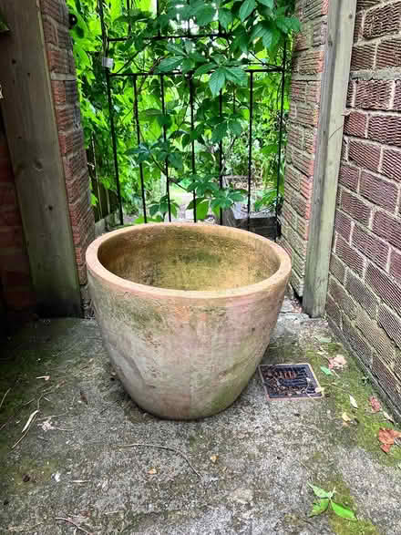 Photo of free Large terracotta plant pot (CR8) #1