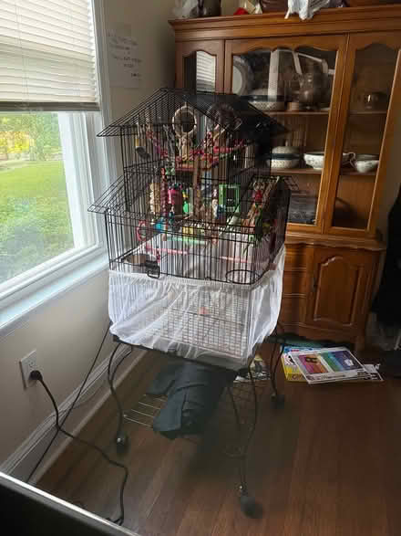 Photo of free Metal bird cage with toys/supplies (Uptown NW by Walter Reed) #3