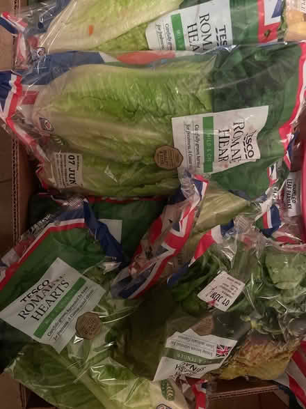 Photo of free Veg / fruit (Ig5) #1