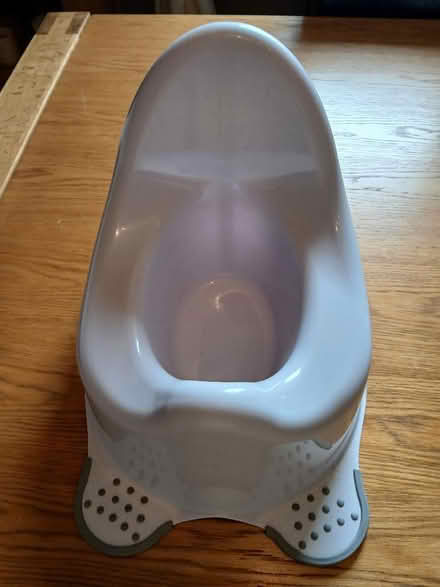 Photo of free Potty (Parkhead EH11) #1