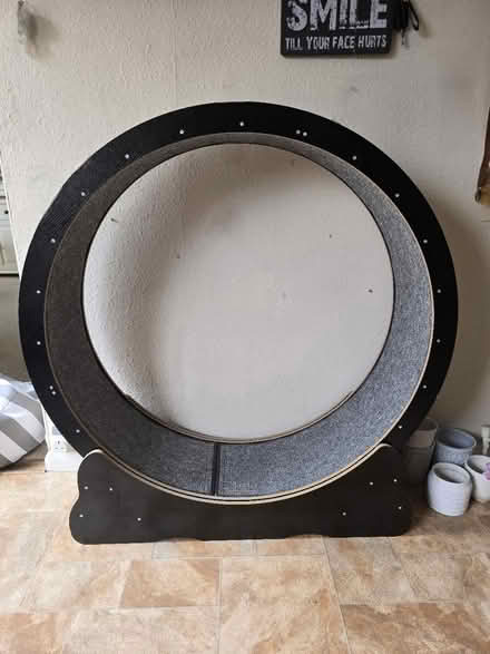 Photo of free Large Cat Treadwheel (Godstone RH9 8) #1