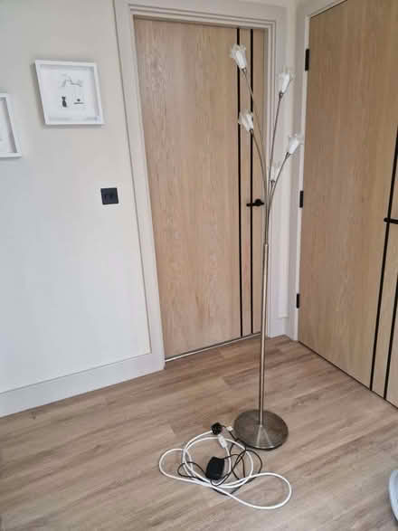 Photo of free Pretty floor lamp (Datchworth SG3) #2