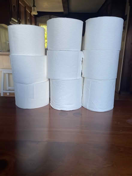 Photo of free toilet paper (Pelham NH) #1