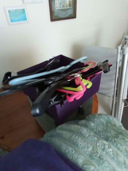 Photo of free Assorted hangers (Bognor Regis PO21) #1