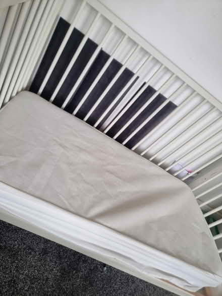 Photo of free Cot (Sinfin) #2