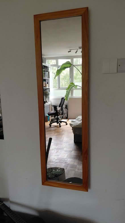 Photo of free Mirror (Putney SW15) #1