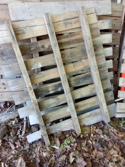 Photo of free 2 or 3 Wood Pallets to re purpose (Manor Park - Rockcliffe Park) #1