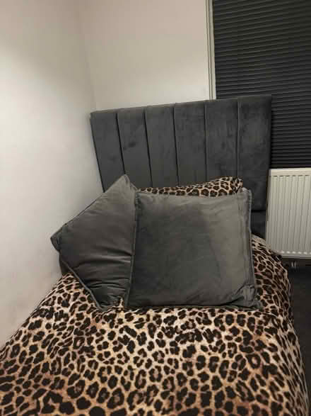 Photo of free Single bed with optional mattress (Sheffield S8 woodseats) #2