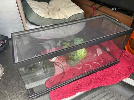 Photo of free Vivarium (Threlkeld CA11) #1
