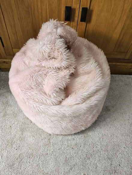 Photo of free Kids pink bean bag (Goldsworth Park GU21) #1