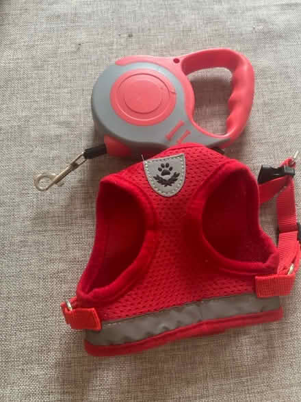 Photo of free Small retractable cat lead and vest (Wimbledon Chase SW20) #1