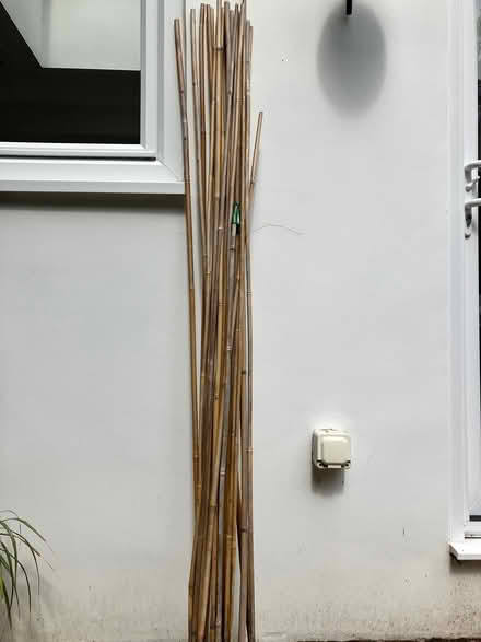 Photo of free 20 bamboo canes (CR8) #1