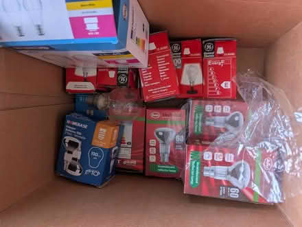 Photo of free Halogen/ incandescent bulbs (Carlisle CA1) #1