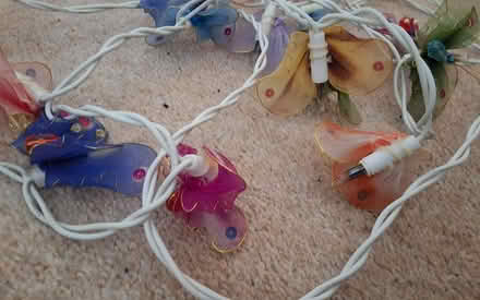 Photo of free Butterfly fairy lights (South Acton) #3