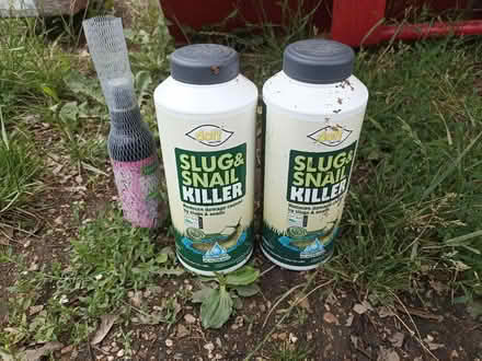 Photo of free Snail slug pellets (Romford RM1) #1