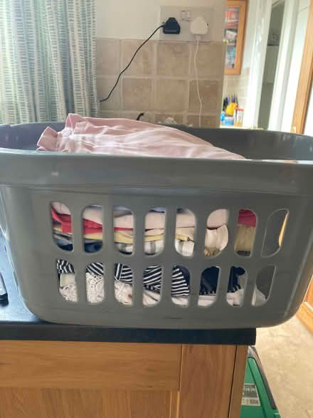 Photo of free Ladies t shirts size 16 (Stanford-Le-Hope SS17) #1