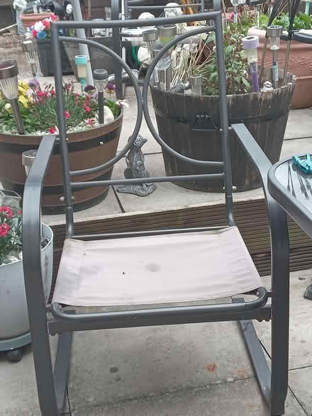 Photo of free Garden chairs with cushions (Letchworth SG6 1FZ) #1