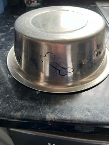 Photo of free Metal dog bowl (Titchfield Common PO14) #2