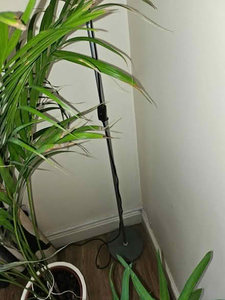 Photo of free Floor lamp (Athy) #4