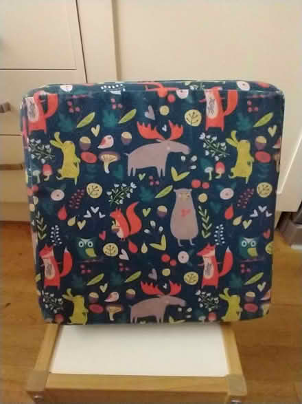 Photo of free Booster seat for dining chair (Abingdon OX14) #3