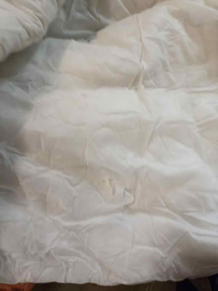 Photo of free Single duvet (Romford RM1) #2