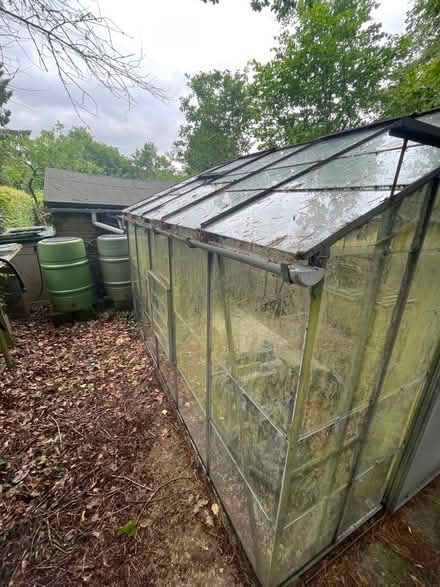 Photo of free 4x5 greenhouse (Central tonbridge TN16) #3