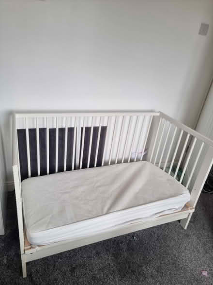 Photo of free Cot (Sinfin) #1