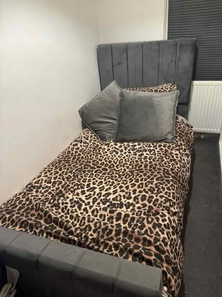 Photo of free Single bed with optional mattress (Sheffield S8 woodseats) #1