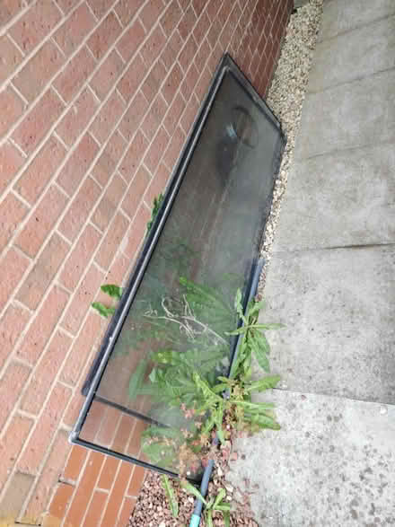 Photo of free Glass door windows x2 (Hucknall) #1