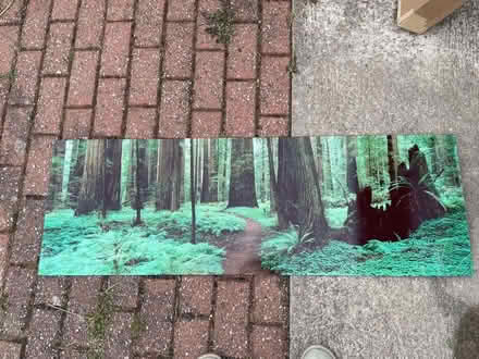 Photo of free Glass woodland decorative picture (Taffs Well CF15) #1
