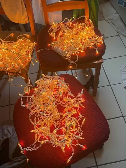 Photo of free Mini Christmas Lights (Just outside of Park Slope) #1