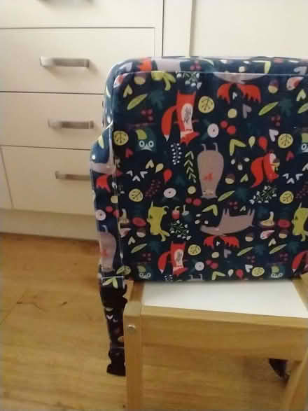 Photo of free Booster seat for dining chair (Abingdon OX14) #1