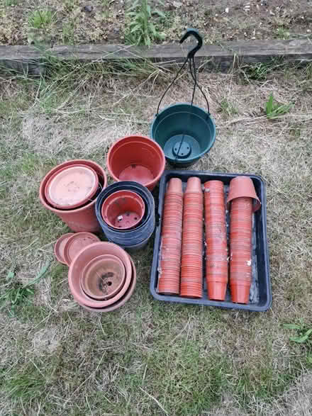 Photo of free Various plant pots (IP19) #1