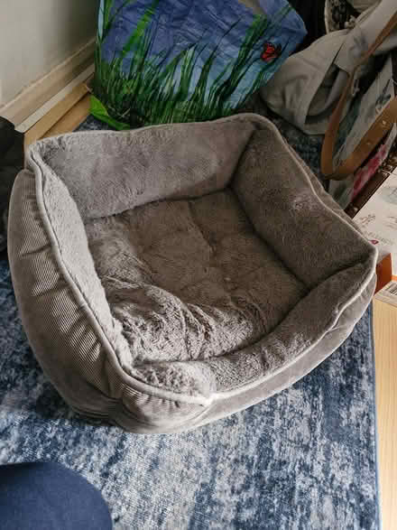 Photo of free Pet bed (Coed edeyrn CF23) #1