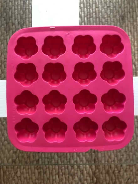 Photo of free Ice cube tray (Leslieville) #1