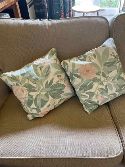 Photo of free Pair of feather cushions 16 inch square (Southsea PO5) #1